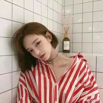 安妮·法兰克的回忆